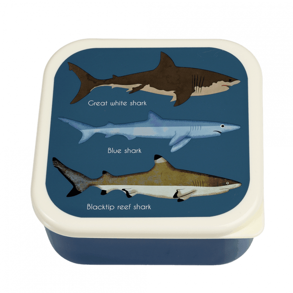 Snack Boxes Set of 3 - Sharks