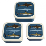 Snack Boxes Set of 3 - Sharks