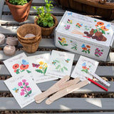 Grow Your Own Bee and Butterfly Garden Kit