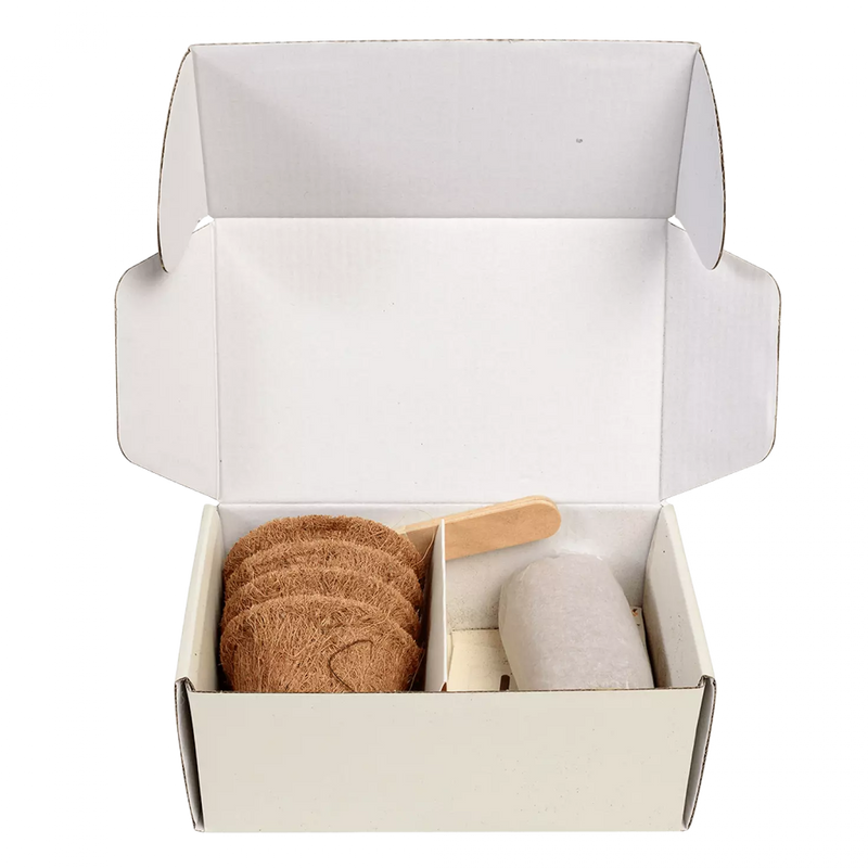 Grow Your Own Bee and Butterfly Garden Kit