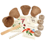 Grow Your Own Bee and Butterfly Garden Kit