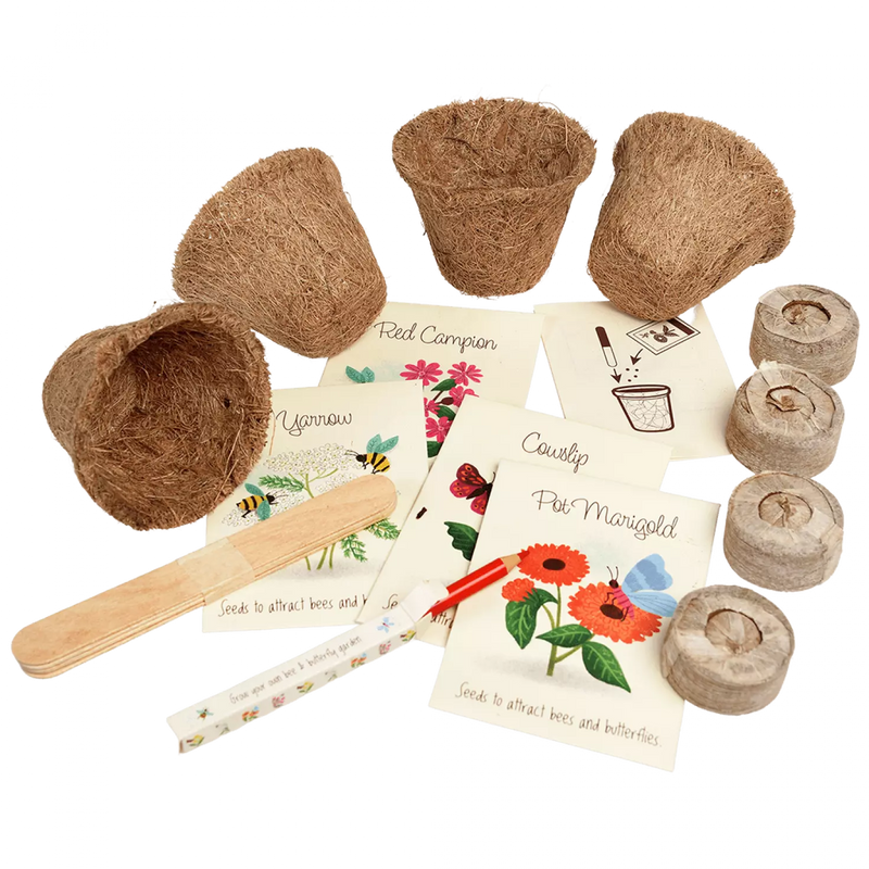 Grow Your Own Bee and Butterfly Garden Kit