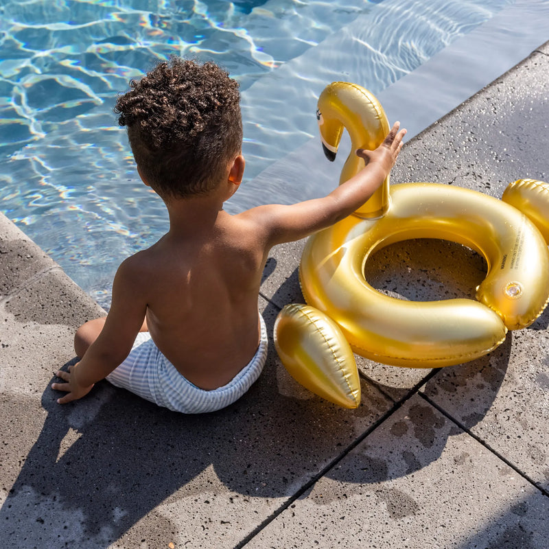 Golden Swan Split Swim Ring - 55cm