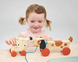 Wooden Puppy on Wheels Toy
