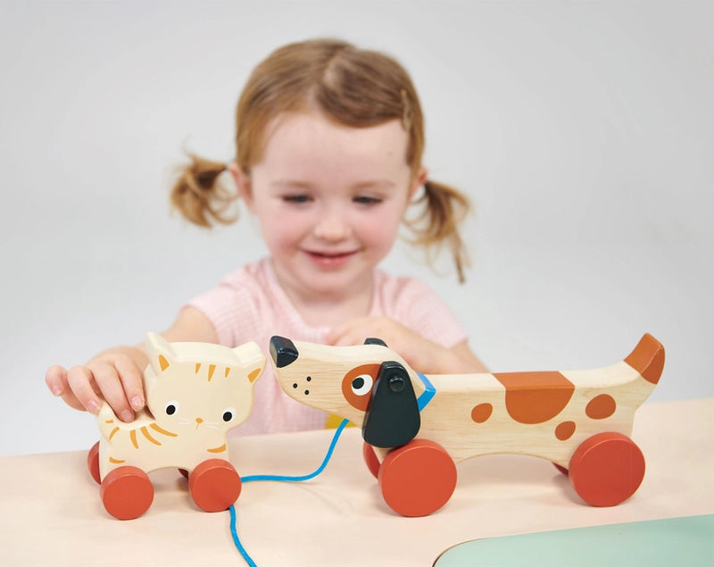 Wooden Puppy on Wheels Toy