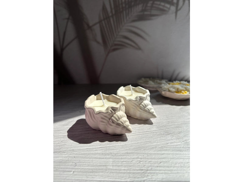 Conch Shell Candle