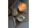 Conch Shell Candle