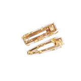 Twin Resin Hair Clip Set