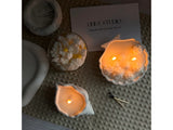 Conch Shell Candle