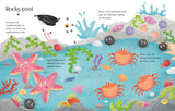 Seashore - Wipe Clean Activities Book