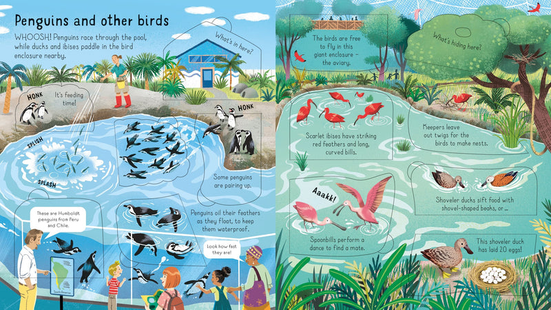 Look Inside a Zoo