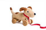 Dudley the Puppy Pull Along Toy