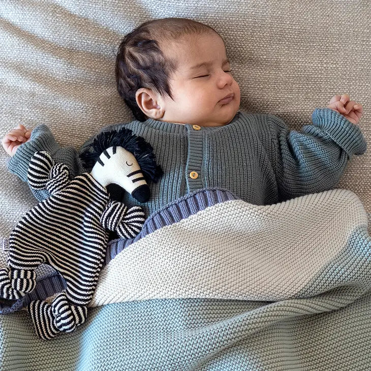 Zebra Cuddle Cloth