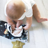 Baby's First Crinkle Book - Peekaboo Ocean