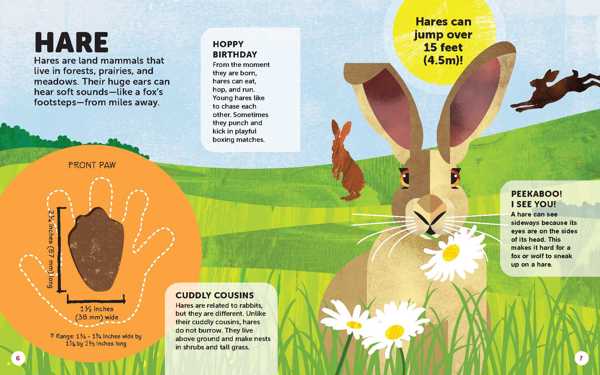 how big is your paw children's book crane and kind