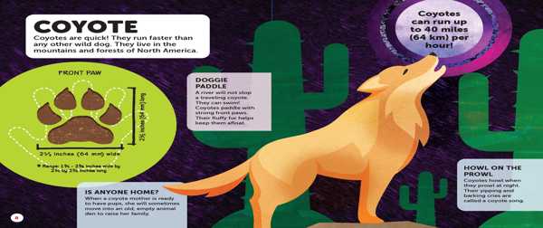 how big is your paw children's book crane and kind